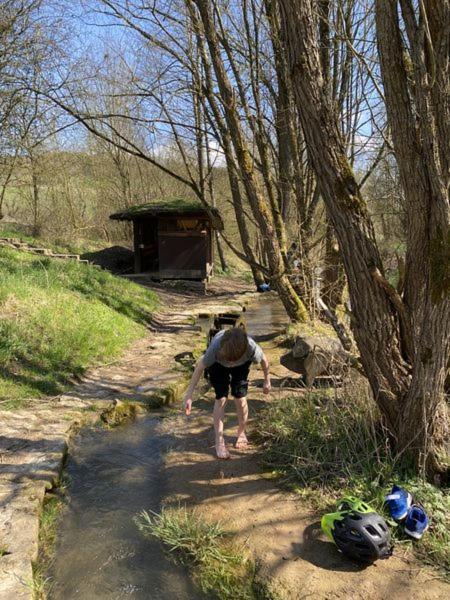 Ferienwohnung Wertevoll Welschbillig Buitenkant foto
